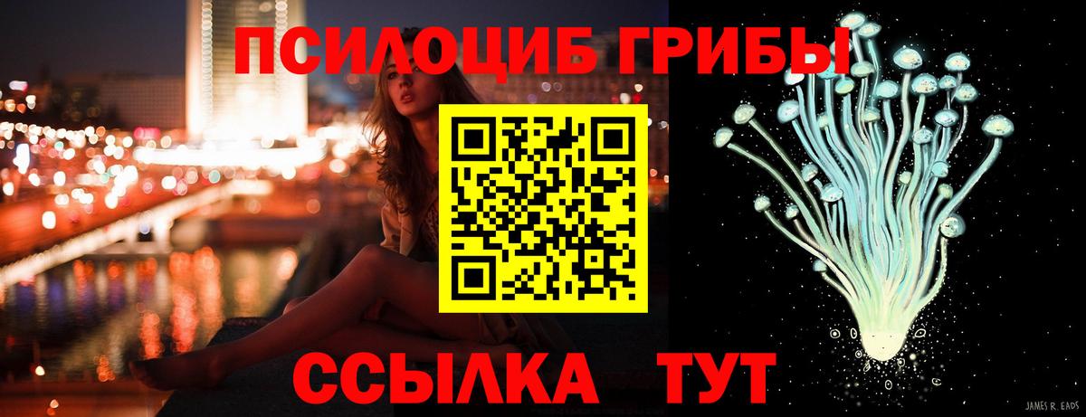 Псилоцибиновые грибы GOLDEN TEACHER Тимашёвск