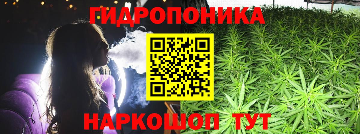Бошки марихуана OG Kush  Вход с VPN  Тимашёвск  Бошки Шишки OG Kush 